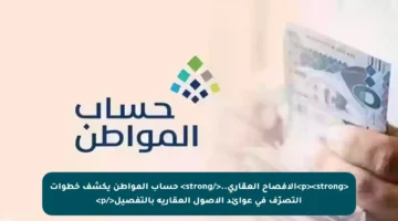 <p><strong>الإفصاح العقاري..</strong> حساب المواطن يكشف خطوات التصرّف في عوائد الأصول العقارية بالتفصيل</p>